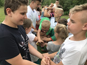 Zdjęcie 31